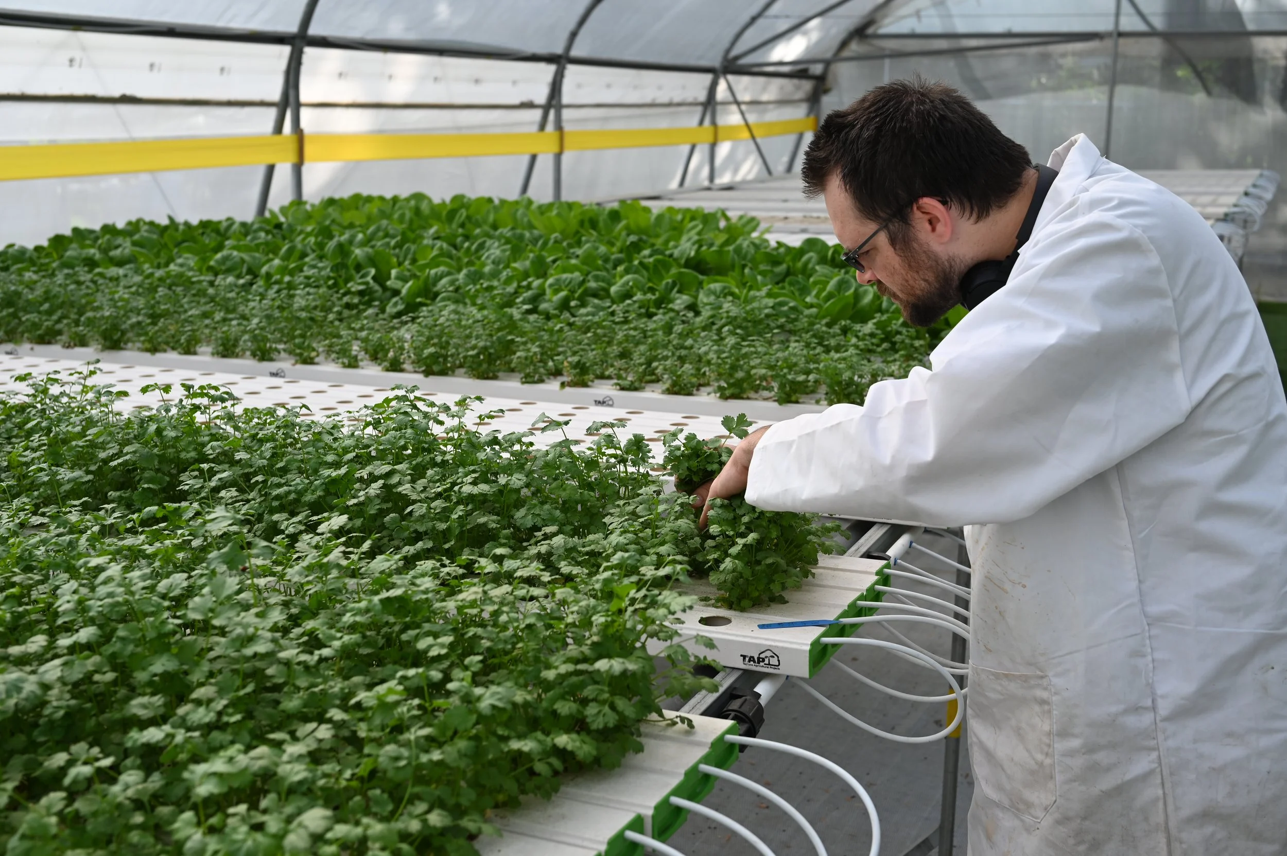Slow Grow Farms様 Hydroponics | GroZilla | TAPkit — Restorative Farms